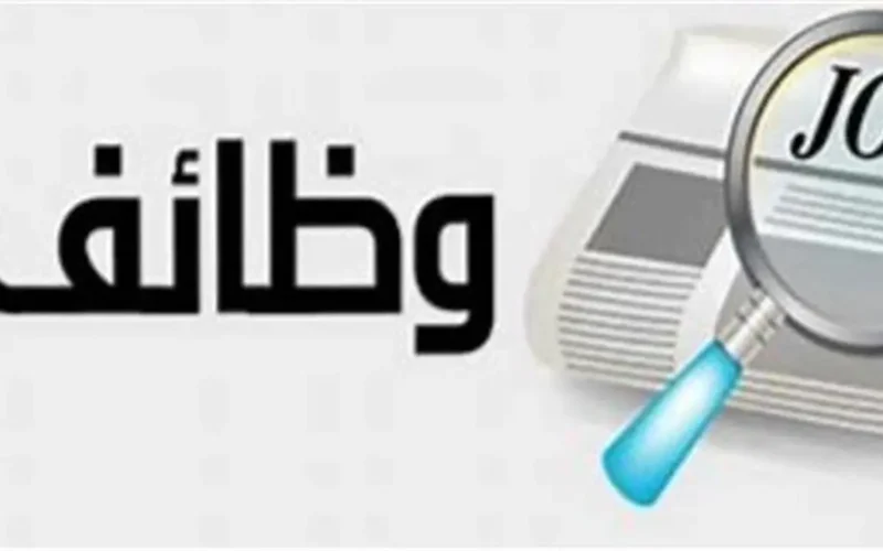 وظائف شاغرة في محافظة القاهرة مع الشروط والمهارات المطلوبة للتقديم